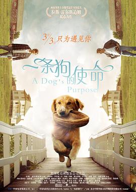江南三大美女